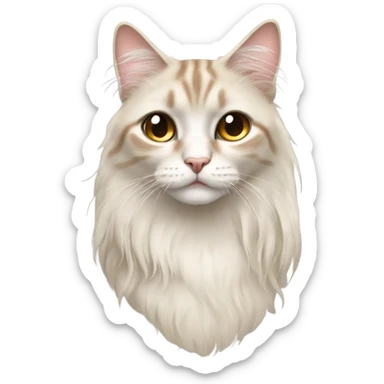 Teary eyed oriental longhair cat sticker