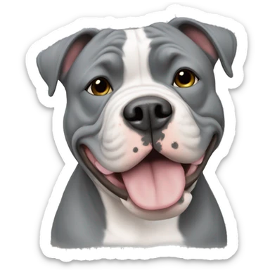 american bully white and grey  sticker