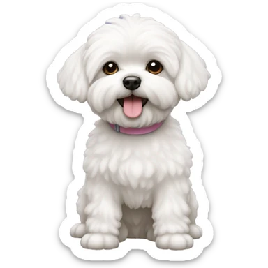 Bichon maltes sticker