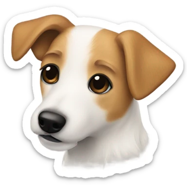 long hair jack russell with beige hair on the face and a black spot on the back sticker