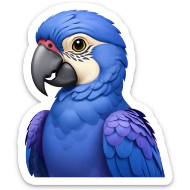 Hyacinth macaw sticker