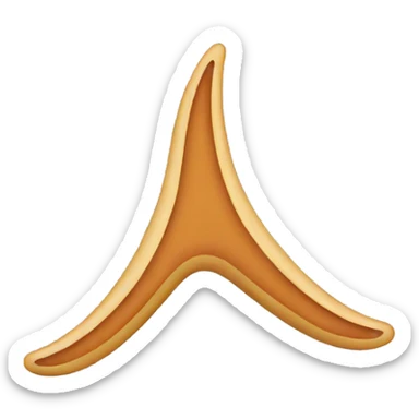 boomerang sticker