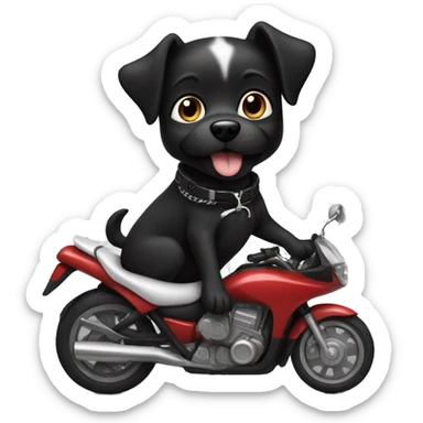 Black dog with white on her chest and toes riding a motorcycle  sticker