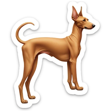 Egyptian pharaoh hound on a mountain top sticker