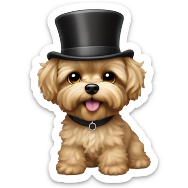 yorkie bichon mix. dog with light tan curly fur, very very long ears down. dark brown eyes, mouth closed. wearing a top hat sticker