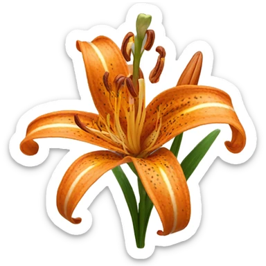 tiger lily flowers sticker