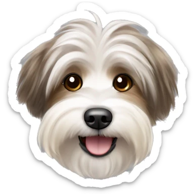 Havanese dog with ash brown and blonde streaks in the fur woth a happy expression sticker