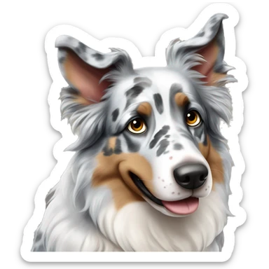Blue Merle Australia shepherd . One eye brown the other blue  sticker