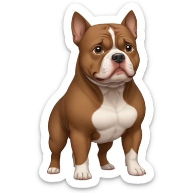 Dark brown american pocket bully sticker