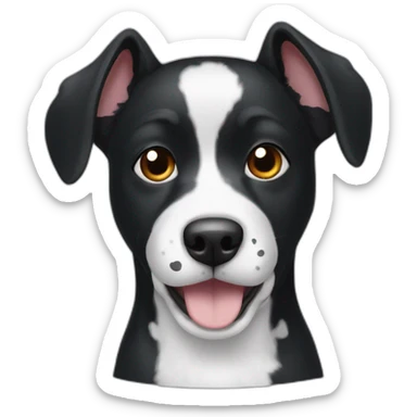 Dog Shitszu happy black eyes black fur with white spots sticker