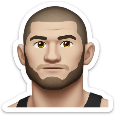 Ufc fighter khabib nurmagomedov sticker