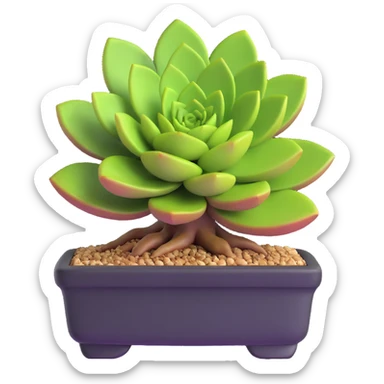 succulent bonsai plant sticker