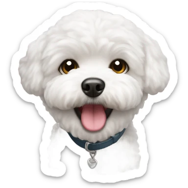 Cute bichon frise sticker