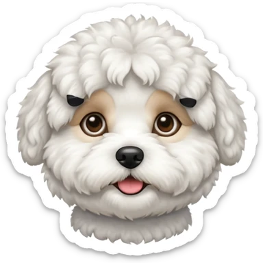 bichon sticker