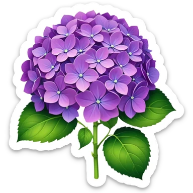 Hydrangea sticker
