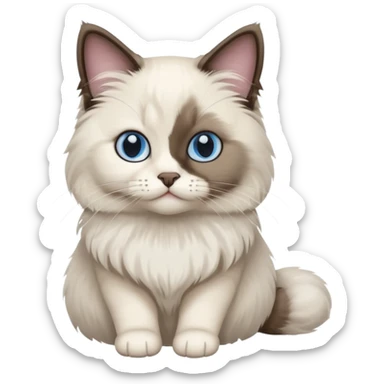 Bicolor seal point Ragdoll cat  sticker