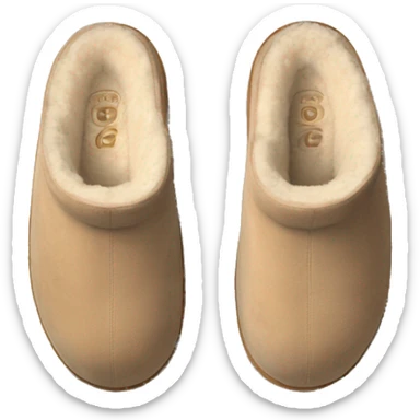 Beige Ugg slippers, from above sticker