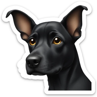 Black dog with one ear up and one ear folded down sticker