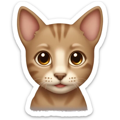 A brown little  kitten with brown eyes and beige bow neck sticker