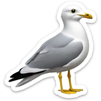 Common gull sticker