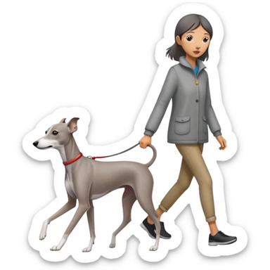 Asian girl walking an all grey Italian greyhound with no white nose, completely grey dog sticker