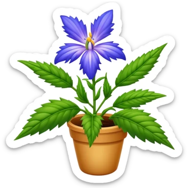 Hyssop sticker