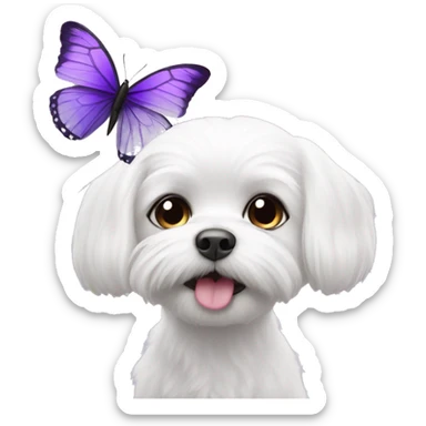 Maltese with purple butterfly landing on its nose sticker