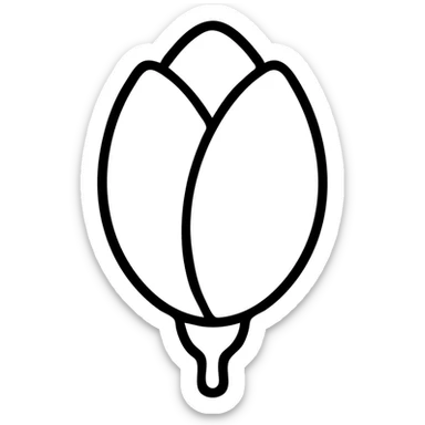 minimalist top-down view of a magnolia flower bud with soft white and light pink petals, fully visible against a plain white background, no extra details sticker