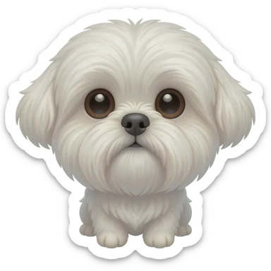 White Shih tzu round head looking up sticker