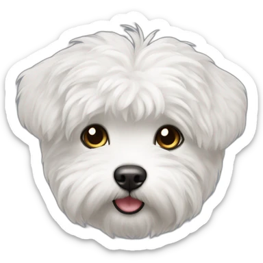 Bichón maltés sticker