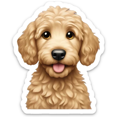 golden doodle puppy sticker