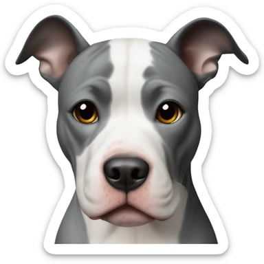 white and black pitbull  sticker