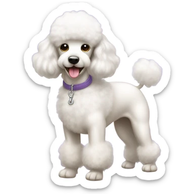 White poodle in spa sticker
