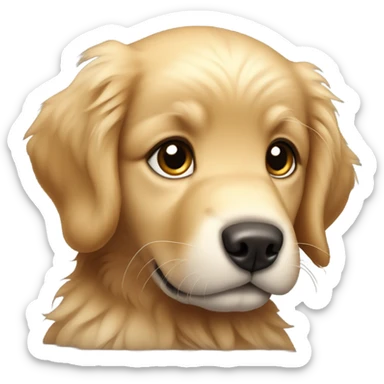 Golden retriever puppy  sticker