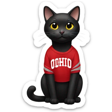 Black cat wearing an Ohio State University sweatshirt sticker