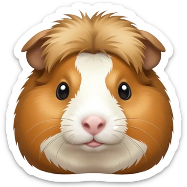 Guinea pig peludo sticker