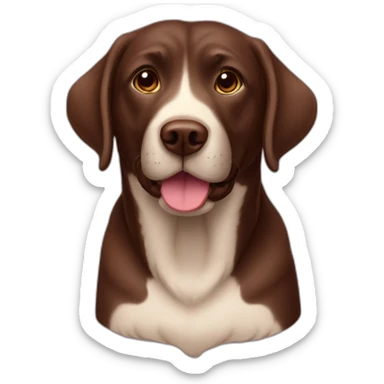 Chocolate labradador with name “Haru” sticker