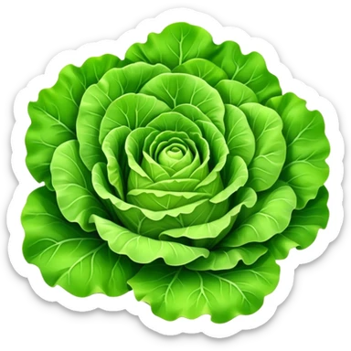 Cinematic crisp green lettuce, fresh and leafy, slightly curled edges, detailed textures, vibrant and refreshing, ultra-realistic and inviting. sticker