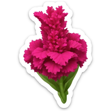 celosia flower sticker