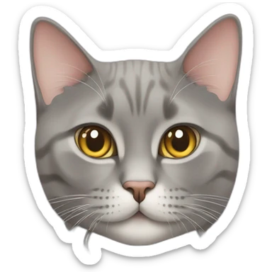 british short hair cat with rolex sticker