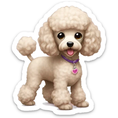 Mini poodle sticker
