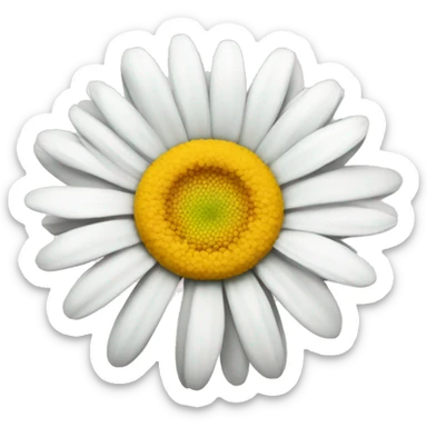 Marguerite flower  sticker