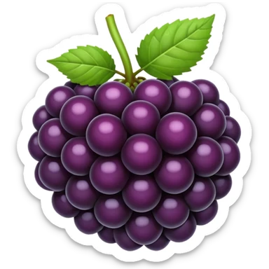 Blackberry  sticker