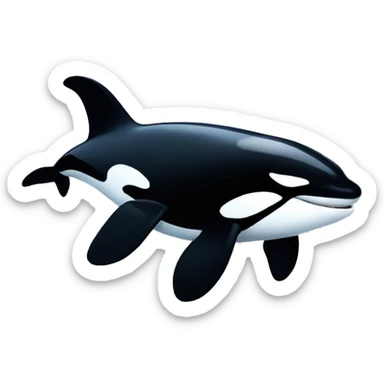 Orca  sticker