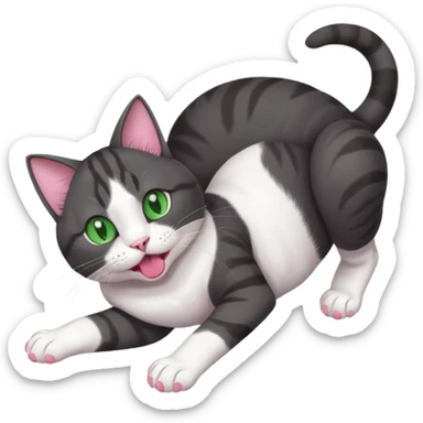 beautiful female solid dark grey cat with green eyes, white toes/paws and white patch on her chest playfully rolling upside down sticker