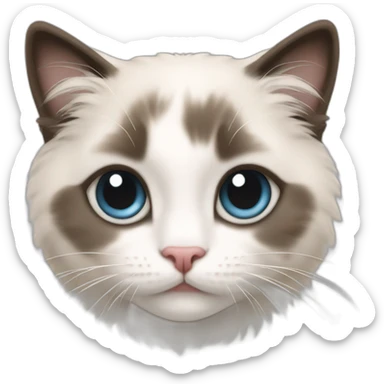 ragdoll kitten sticker
