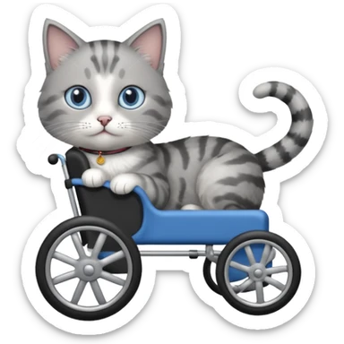 cat in a pet wheelchair sticker