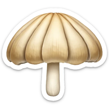 oyster mushroom sticker
