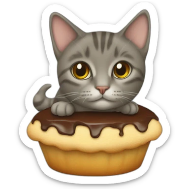 un chat sur une tortu sticker