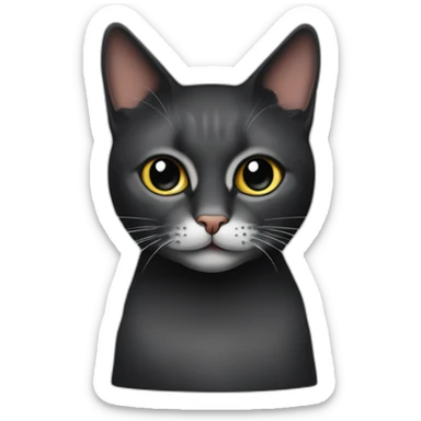 MujerVeterinaria morocha de ruloscon un gato negro sticker